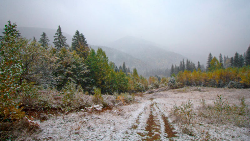 «Alerta climática: Heladas y posibles nevados esperan a los reyes de la navidad en algunas regiones del país»